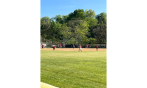 Softball at Red Devils